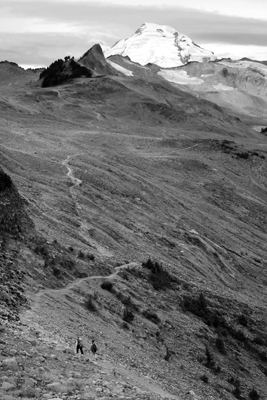 The Long and Winding...